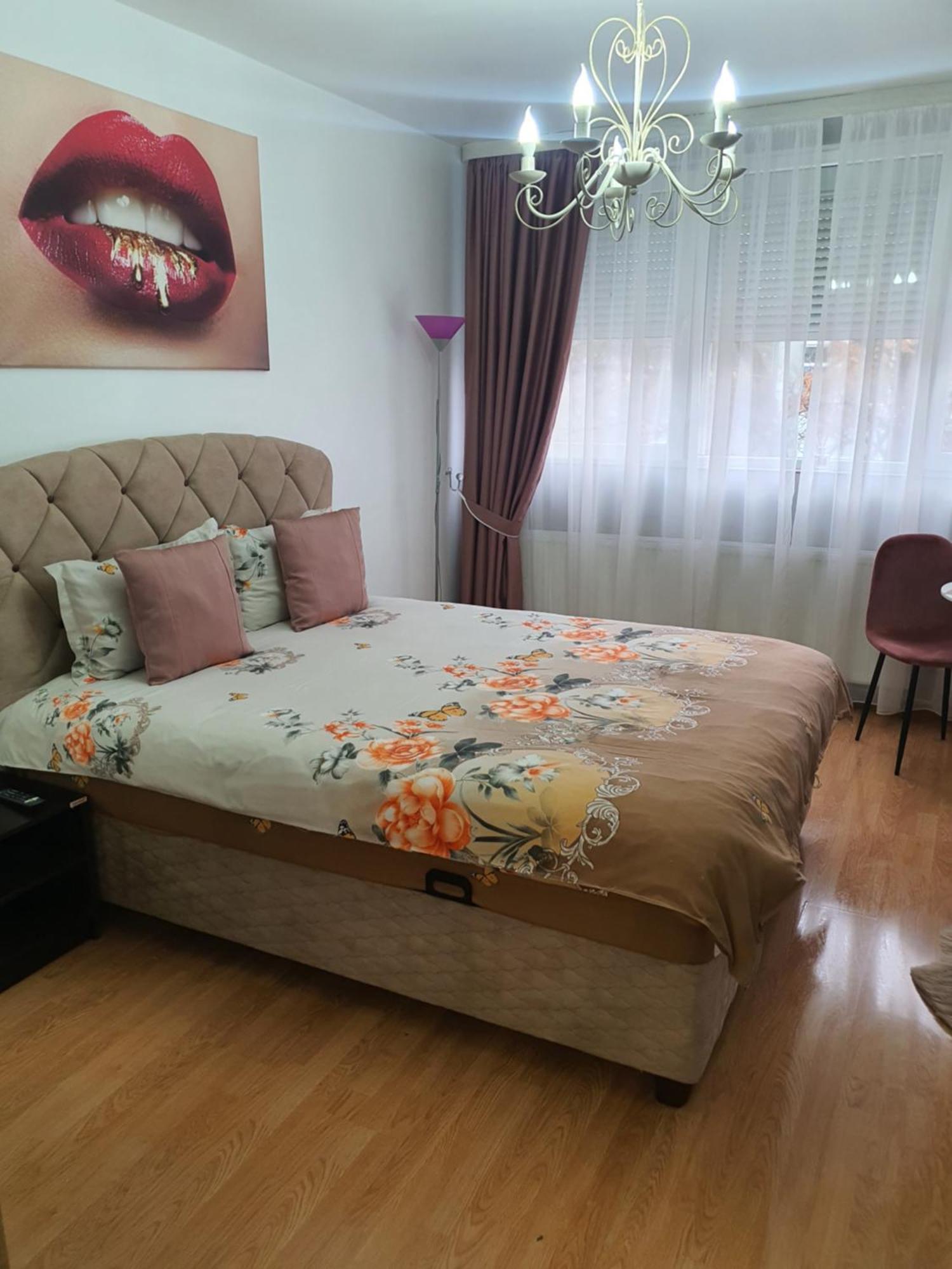 Chic Apartment- Place To Remember Galaţi エクステリア 写真